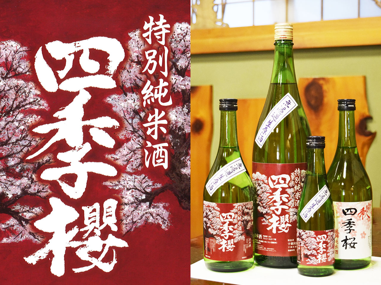 特別純米酒 四季桜